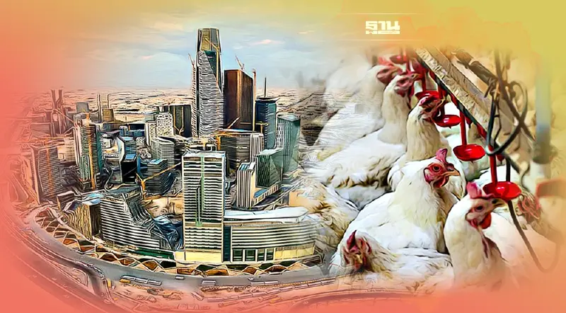 นายกฯปลื้ม "ซาอุฯ" เลิกแบนนำเข้าผลิตภัณฑ์สัตว์ปีกไฟเขียวปชช.เที่ยวไทย