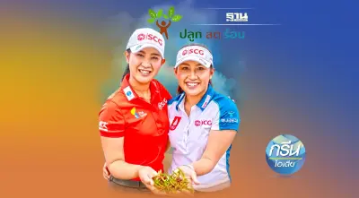 เอสซีจี ต่อยอดป่าโกงกาง สู่ ‘หญ้าทะเล’  พืชฮีโร่ ช่วยให้โลก Cool