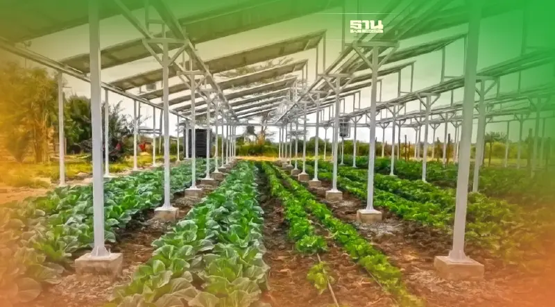 "โคกอีโด่ยวัลเล่ย์"ต้นแบบโซลาร์เซลล์"ปันแสง"จากอุบลฯสู่ภาคเหนือ