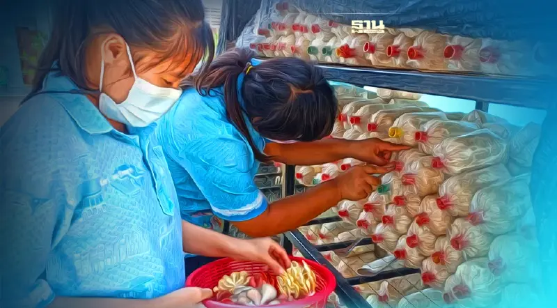 ซีพีเอฟ สนับสนุน "โครงการเพาะเห็ด" เติมทักษะอาชีพเด็กพิเศษ