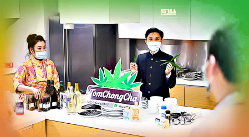 ดึง กัญชา-สมุนไพรไทยเสริมทัพ Gastronomy Tourism ฟื้นเศรษฐกิจ ดึง กัญชา-สมุนไพรไทยเสริมทัพ Gastronomy Tourism ฟื้นเศรษฐกิจ
