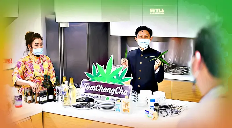 ดึง กัญชา-สมุนไพรไทยเสริมทัพ Gastronomy Tourism ฟื้นเศรษฐกิจ