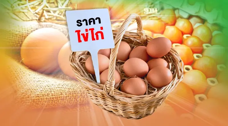 ส่องราคา "ไข่ไก่"วันนี้28/03/65 ปรับขึ้น