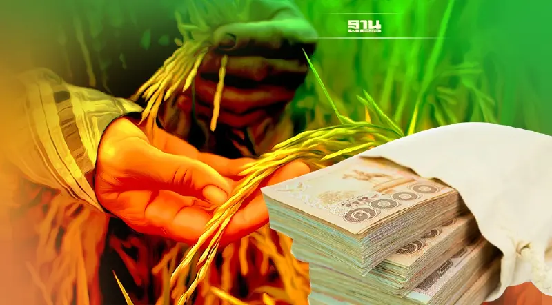 จ่ายส่วนต่างข้าวงวดที่22มาแล้ว ข้าวเปลือกเจ้ารับสูงสุด ชาวนารีบเช็คเลย..