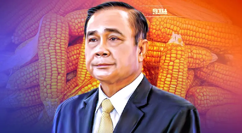 ด่วน! นายกฯ สั่งตำรวจ เกษตร พาณิชย์ ตรวจสต๊อกข้าวโพดทั่วประเทศ