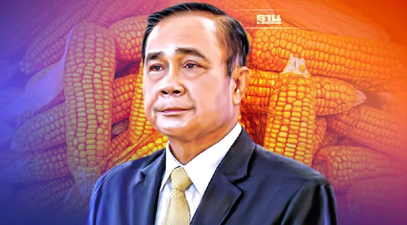 ด่วน! นายกฯ สั่งตำรวจ เกษตร พาณิชย์ ตรวจสต๊อกข้าวโพดทั่วประเทศ ด่วน! นายกฯ สั่งตำรวจ เกษตร พาณิชย์ ตรวจสต๊อกข้าวโพดทั่วประเทศ