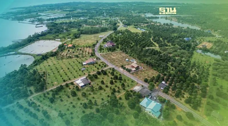 เปิดโมเดลปั้น “ทุเรียนตราด” ผ่านยุทธศาสตร์ “ถนนสายทุเรียน” เปิดโมเดลปั้น “ทุเรียนตราด” ผ่านยุทธศาสตร์ “ถนนสายทุเรียน”