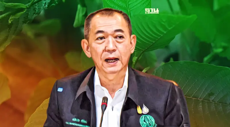 ข่าวดี แจกฟรี ต้นกล้ากระท่อม  คนละ 3 ต้น รับได้เลย