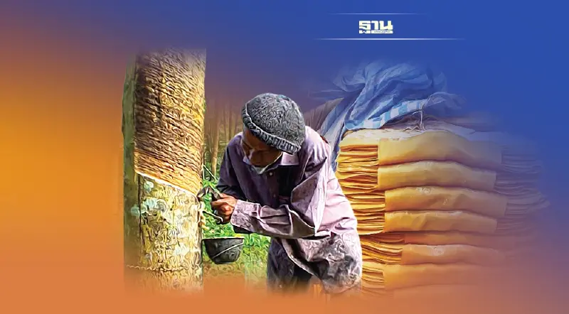 “ประกันรายได้ยางพารา”  กยท. นัดเคาะราคา งวดสุดท้าย วันพรุ่งนี้