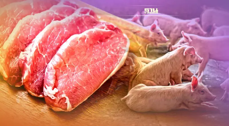 เทศกาลสงกรานต์-อากาศแปรปรวน ผลผลิตน้อย ความต้องการสูง ดันราคาหมูขยับ