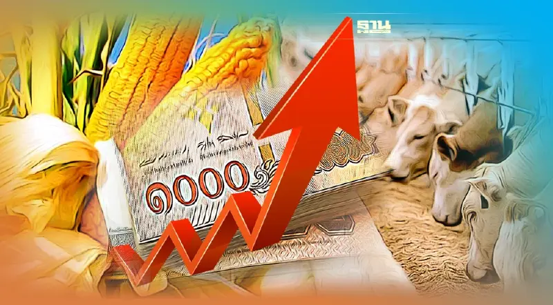 พาณิชย์ ขีดเส้น 11 เมษาแก้“อาหารสัตว์แพง”ย้ำนายกทุกสมาคมต้องมาพร้อมหน้า