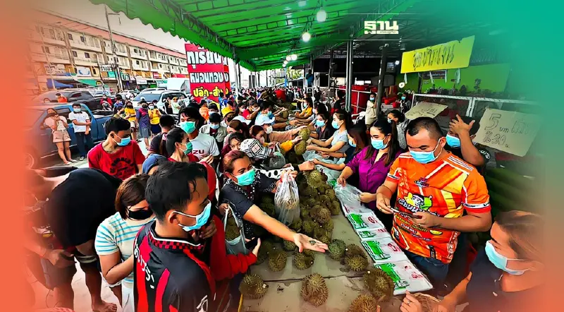 ฮือฮา เปิดขาย "ทุเรียนหมอนทอง" ลูกละ5บาท