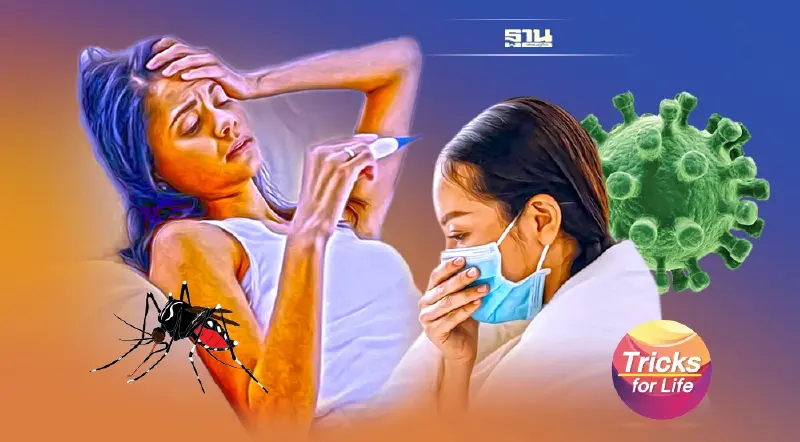 ‘ไข้เลือดออก’ กับ ‘โควิด-19’ ต่างกันตรงไหน