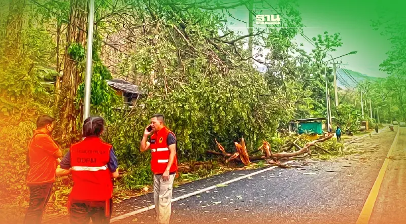 ปภ.รายงานเกิดวาตภัยใน 16 จังหวัด บ้านเรือนเสียหาย 415 หลัง