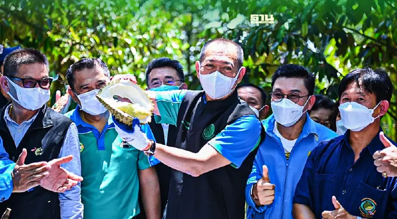 เปิดฤดูกาล “ทุเรียนหมอนทอง” ราคาหน้าสวน 125 บาท/กก.