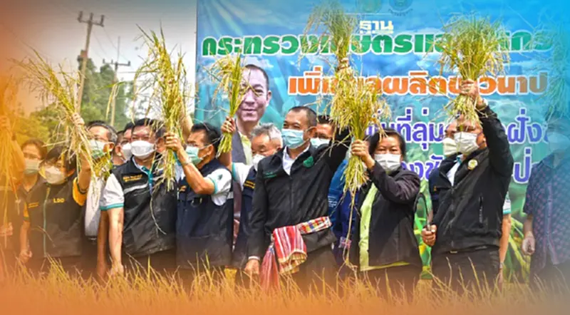 “เฉลิมชัย”ลงพื้นที่ จ.ลพบุรี ติดตามสถานการณ์น้ำ ร่วมโชว์ “เกี่ยวข้าว" “เฉลิมชัย”ลงพื้นที่ จ.ลพบุรี ติดตามสถานการณ์น้ำ ร่วมโชว์ “เกี่ยวข้าว"