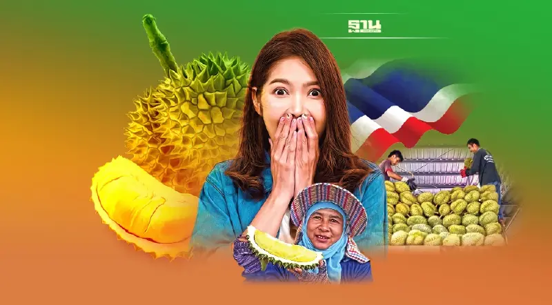 “ซีโร่โควิด”จีน ทุบทุเรียนไทย ส่งออกแสนล้านลุ้นระทึก