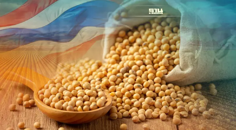 "เฉลิมชัย" สั่งเร่งเครื่อง พลิกโอกาส "ถั่วเหลืองไทย" เป็นพืชเศรษฐกิจ