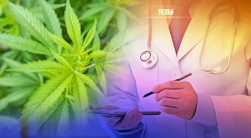 หนุนใช้ตำรับยากัญชาแพทย์แผนไทย ในสถานพยาบาลเอกชน