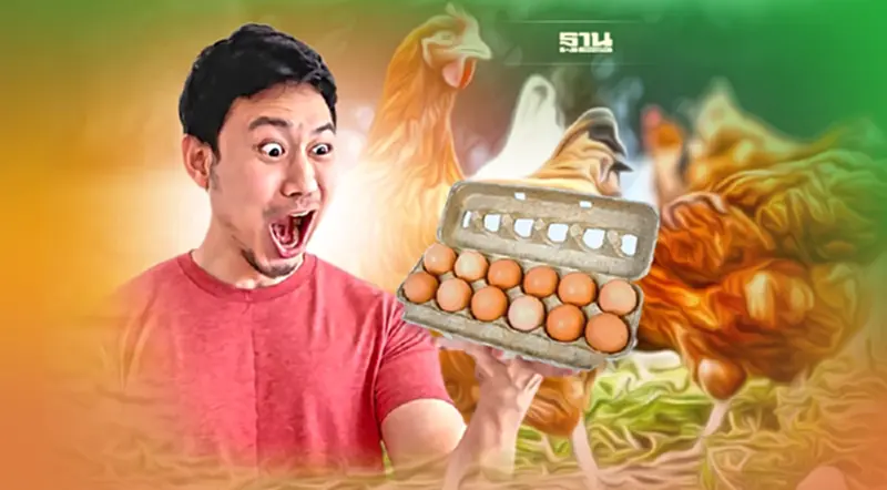 ไก่ไข่ร้องต้นทุนค่าน้ำพุ่ง-ราคาดีเซลจ่อขยับทุบซ้ำ วอนปล่อยกลไกตลาดทำงาน ไก่ไข่ร้องต้นทุนค่าน้ำพุ่ง-ราคาดีเซลจ่อขยับทุบซ้ำ วอนปล่อยกลไกตลาดทำงาน