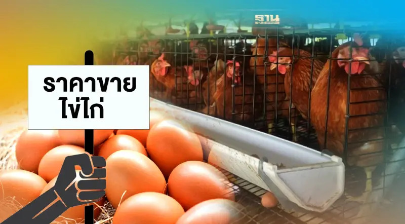 ครั้งแรก "เกษตรกรผู้เลี้ยงไก่ไข่" ประกาศราคาขายเอง