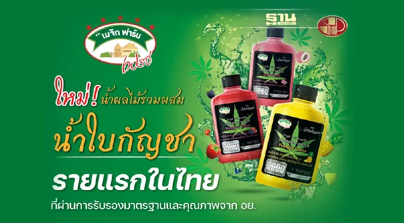 “SNNP” เขย่าตลาดเครื่องดื่ม ส่ง “เมจิก ฟาร์ม เฟรช น้ำผลไม้รวมผสมน้ำใบกัญชา” “SNNP” เขย่าตลาดเครื่องดื่ม ส่ง “เมจิก ฟาร์ม เฟรช น้ำผลไม้รวมผสมน้ำใบกัญชา”