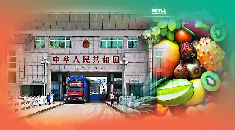 ข่าวดีผลไม้ไทย ด่านตงซิงของจีนเปิดแล้วย้ำเกษตรกรต้องคุมคุณภาพปลอดโควิด