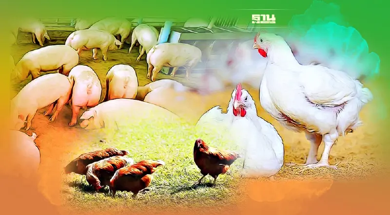 อากาศแปรปรวน “ร้อน-แล้ง- สลับหนาว” ต้นทุนพุ่ง เกษตรกรอ่วม