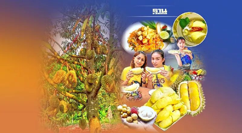 เปิดพิกัด ‘บุฟเฟ่ต์ทุเรียน’ 2565 กินไม่อั้นรับฤดูผลไม้ หนึ่งปีมีครั้งเดียว