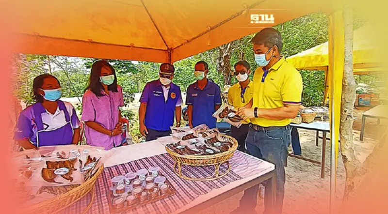 Nature Walkway เขื่อนสิรินธรฮิต ต่อยอดเปิด"ตลาดโซล่าร์เซลล์"ฟื้นชุมชนอุบล Nature Walkway เขื่อนสิรินธรฮิต ต่อยอดเปิด"ตลาดโซล่าร์เซลล์"ฟื้นชุมชนอุบล