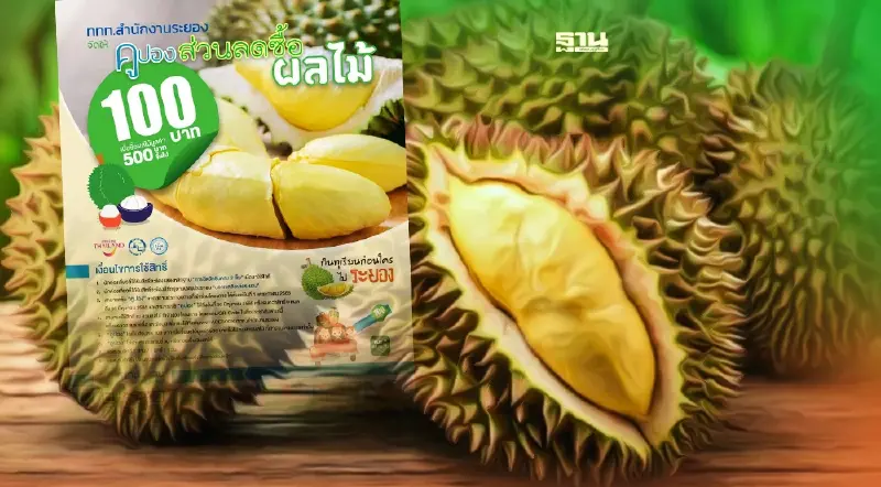 กินทุเรียนก่อนใคร ไประยอง ททท.จับมือสวนผลไม้แจกคูปองลดราคา