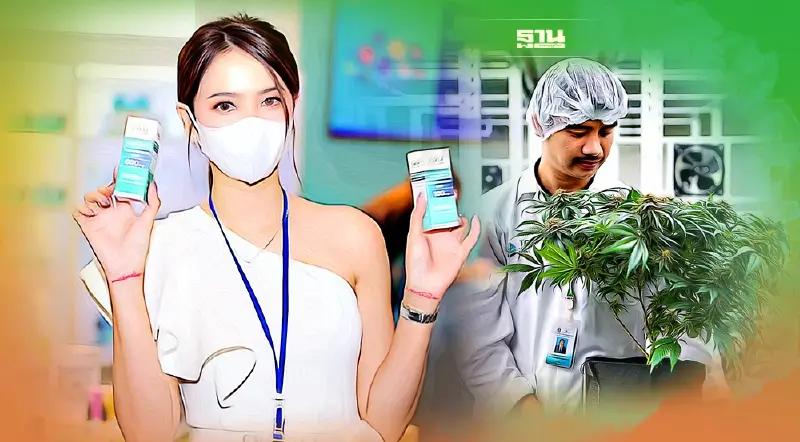 โหมโรง “GTG”  เดินสายเทรดโชว์ “กัญชง”  130 งาน