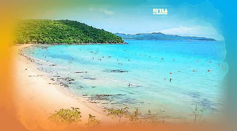 มาอีกแล้ว..คราบน้ำมันเกยหาดทรายแก้ว เกาะสีชัง