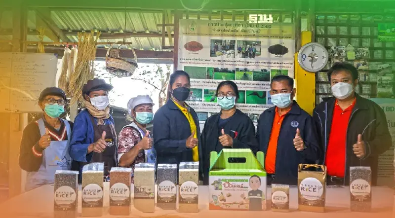กลุ่มแปลงใหญ่ข้าวบ้านสวายสอ บุรีรัมย์ ผลิต-แปรรูปข้าว เอกลักษณ์เฉพาะถิ่น
