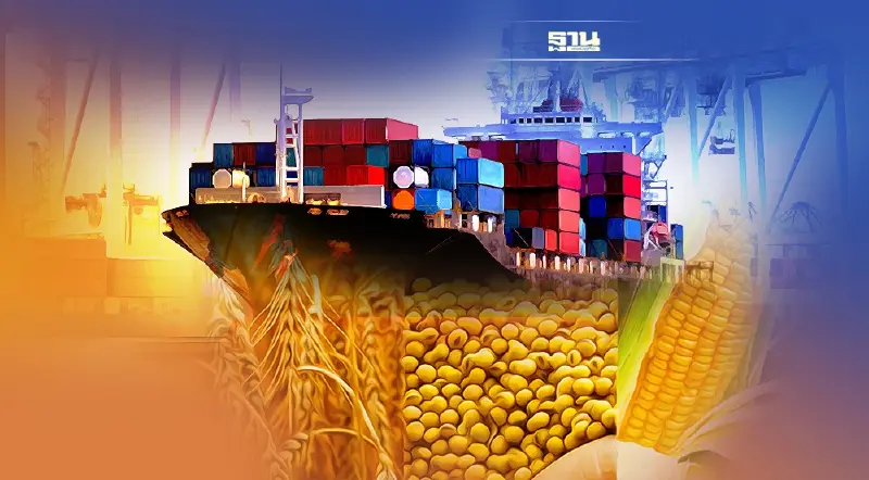 ไฟเขียว เว้นมาตรการ 1:3 นำเข้าข้าวสาลี ข้าวบาร์เลย์ ข้าวโพด  1.5 ล้านตัน