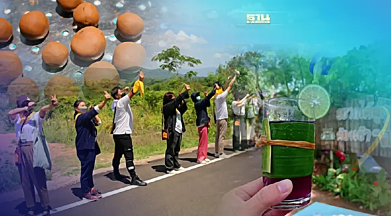 Low Carbon Tourism เทรนด์เที่ยวรักษ์โลก ยุคสังคมปลอดคาร์บอน Low Carbon Tourism เทรนด์เที่ยวรักษ์โลก ยุคสังคมปลอดคาร์บอน