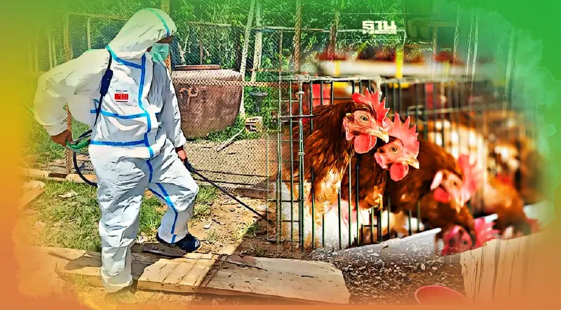 จีนพบการติดเชื้อไข้หวัดนกสายพันธุ์ H3N8 ในมนุษย์เป็นครั้งแรก