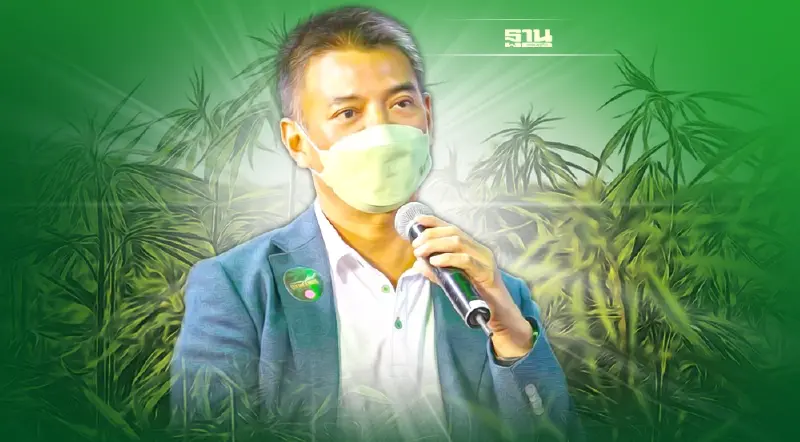 TIHTA แนะลุยตลาดเมดิคอล คานาบิช กรุยทางตลาดกัญชง กัญชา