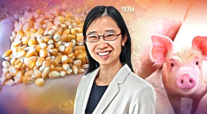 ต้นทุนหมูแพงจาก 4 ปัจจัย รัฐแก้ปัญหาวัตถุดิบไม่ได้ ควรปล่อยตามกลไกตลาด
