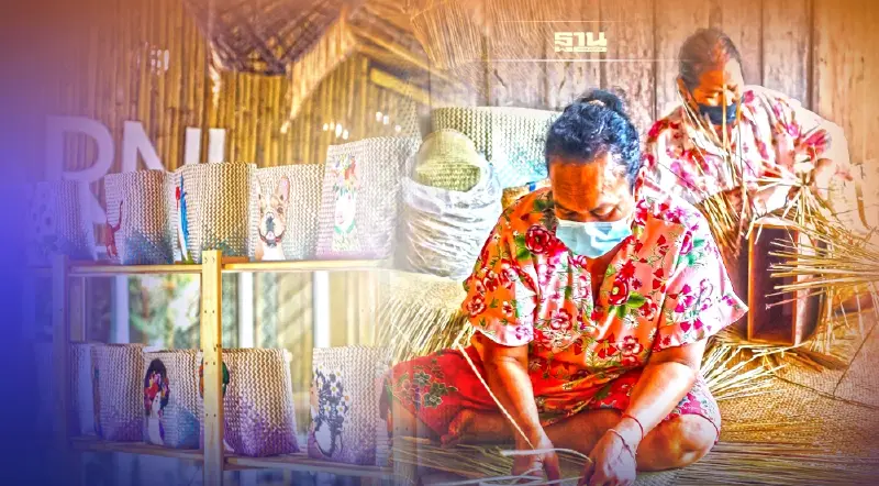 บพท. ร่วมมือ ม.ทักษิณ ผุด"กระจูดแก้จน" เพิ่มทักษะทำกิน ชุมชนพัทลุง