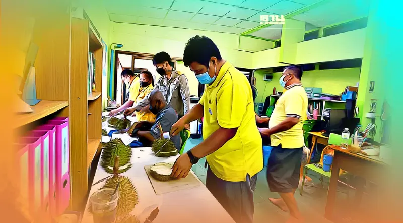 ระยองแห่วัดเปอร์เซนต์น้ำหนักแห้งก่อนตัด สกัดทุเรียนอ่อนออกตลาด      