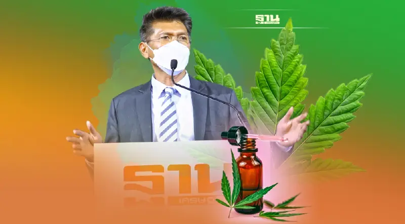 เดินหน้าต่อ “เส้นทางกัญชา” เพื่อคนไทย