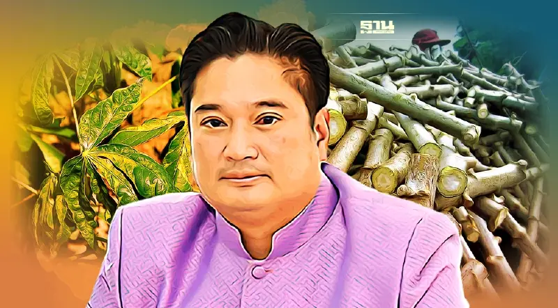 เกษตรฯ เปิดแผน 2 ปี เร่งด่วน กำจัดโรคใบด่างมันสำปะหลัง