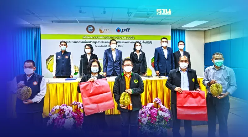 "ถุงวิเศษลดเปลือกเพิ่มเนื้อ-ห้องเย็น8พันตัน"นวัตกรรมแก้ทุเรียนอีอีซี