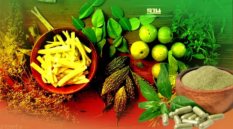 สมุนไพรต้านโควิด19 มีอะไรบ้าง สรรพคุณเป็นอย่างไร อ่านเลยที่นี่มีคำตอบ