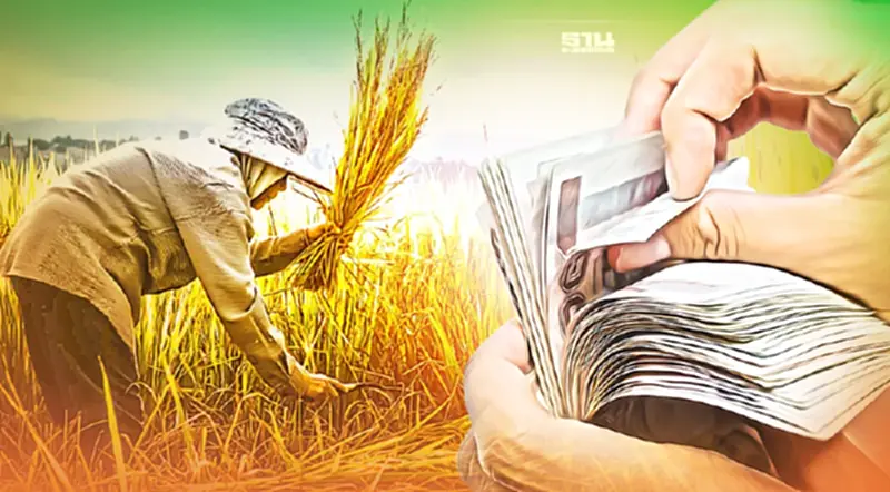 รีบเช็คเลย “ประกันรายได้ข้าว” งวด 29 ข้าวเปลือกเหนียวรับสูงสุด รีบเช็คเลย “ประกันรายได้ข้าว” งวด 29 ข้าวเปลือกเหนียวรับสูงสุด