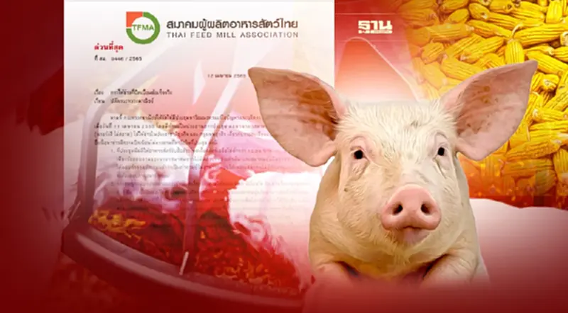สมาคมผู้ผลิตอาหารสัตว์ไทย แจงข่าวบิดเบือน เกรงสังคมเข้าใจผิด สมาคมผู้ผลิตอาหารสัตว์ไทย แจงข่าวบิดเบือน เกรงสังคมเข้าใจผิด