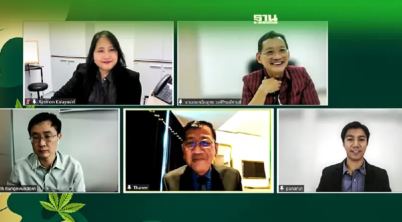 เตือน "กัญชา" มีทั้งคุณและโทษ แนะ ตั้ง "กองทุนสายเขียว" รับมือผลกระทบ