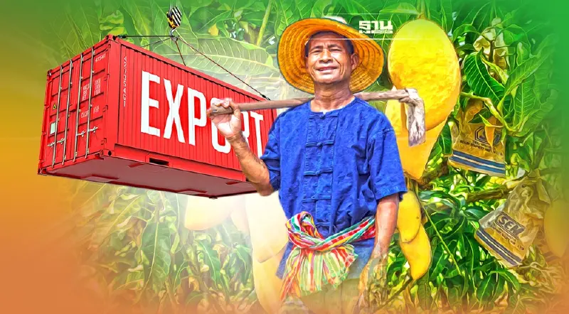 มะม่วงไทยยังปังไม่หยุด  2เดือนแรกส่งออกตลาดFTAพุ่ง15%