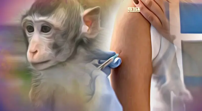 วัคซีนป้องกันฝีดาษลิงมีกี่ประเภท ยารักษามีหรือยัง อ่านเลย